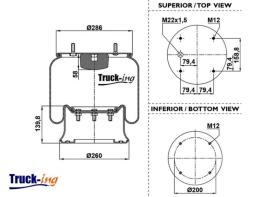 TruckIng 0293220 - DIAPRESS RVI/SAF